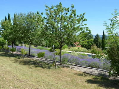 Bild 12 aus  Les Gites du Rigaudou