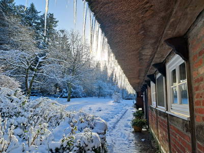 Bild 35 aus  Hof Höpen