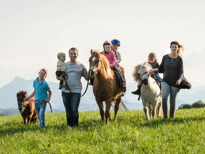 Bild 20 aus  Wimmerhof