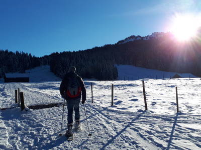 Bild 21 aus  Ferienhof Miller