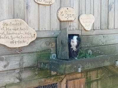 Bild 19 aus  Ferienhof Landfrieden