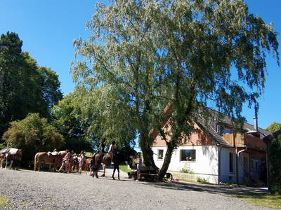 Bild 3 aus  Ferienhof-Marx