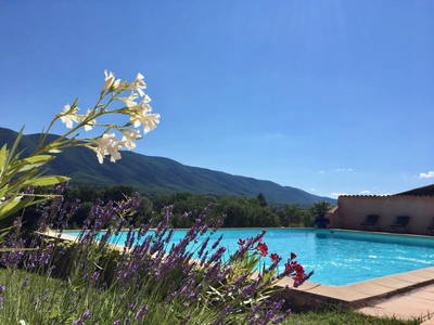 Bild 9 aus  Domaine de La Bastidonne (PROVENCE-LUBERON)