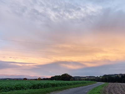 Bild 27 aus  Wohlfühlwohnung im Grünen auf Pferdehof