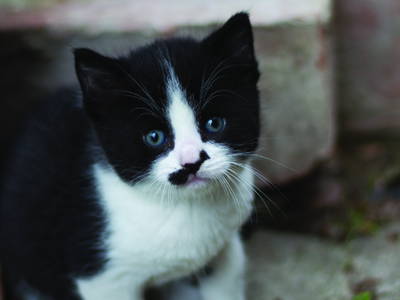 Bild 13 aus  Bauernhof Wehrhoff