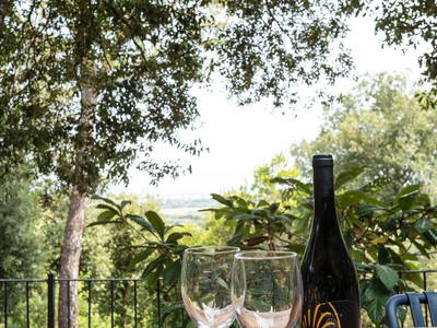 Bild 7 aus  Wunderschönes Haus im Wald am Meer in der Toskana