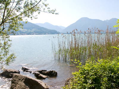 Bild 12 aus  Ignazhof