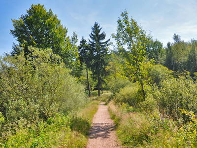 Bild 9 aus  Mühlenhof Seyde