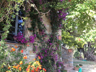 Bild 3 aus  Podere San Giuseppe - altes Bauernhaus mit 3 Wohnungen, Hunde willkommen