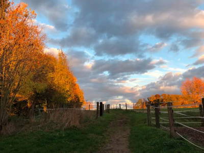 Bild 19 aus  Wohlfühlwohnung im Grünen auf Pferdehof