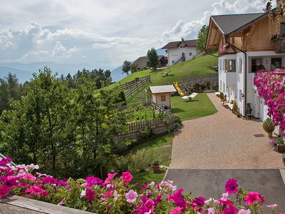 Bild 48 aus  Appartement Birkenhof - Urlaub mit Pferden und Alpakas