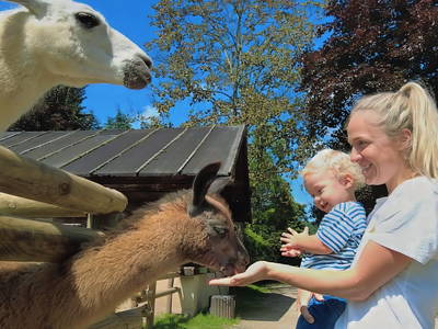 Bild 12 aus  Bernis Ferienhaus