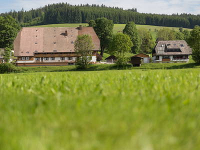 Bild 35 aus  Unterhöfenhof im malerischen Jostal am Titisee im Schwarzwald