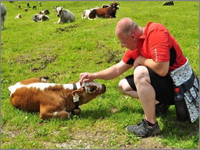 Bild 9 aus  Wendlarhof