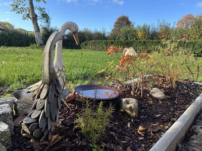 Bild 43 aus  Ferienhof Morich Harz