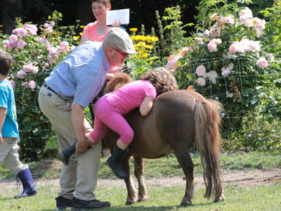 Bild 11 aus  Dahmerhof