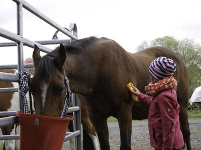 Bild 20 aus  Ferienhof Zinn