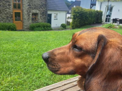 Bild 33 aus  Gut Frielinghausen