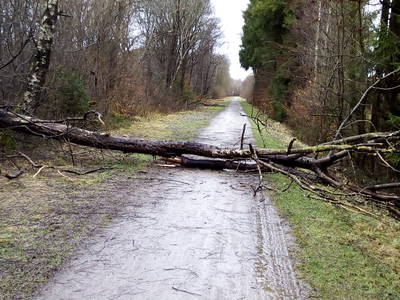 Bild 21 aus  Ferienhof Jansen