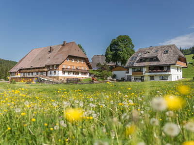 Bild 2 aus  Unterhöfenhof im malerischen Jostal am Titisee im Schwarzwald