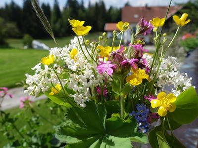 Bild 20 aus  Martinshof