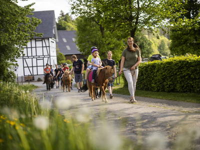 Bild 18 aus  Gerwenshof