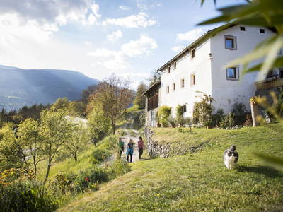 Bild 3 aus  Haus Sonnegg