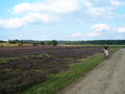 Bild 16 aus  Ferienhof Stegen