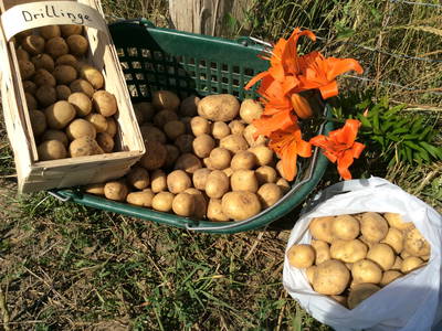 Bild 15 aus  Müritz-Hof Knust