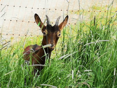 Bild 44 aus  Auf'm Reifnhof: Ihr Kreativhof am Simssee im Chiemgau