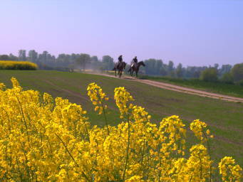 Bild 35 aus  Ferienhof Schlünzen