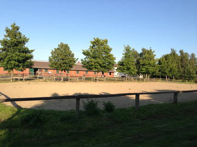 Bild 28 aus  Bernsteinreiter Hirschburg