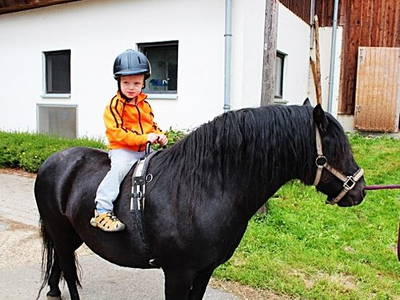 Bild 19 aus  Ferienhof Vennhof