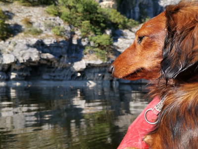 Bild 84 aus  Le Colombié - Ferienhäuser an der Dordogne mieten