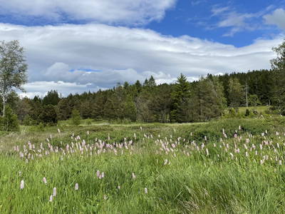 Bild 21 aus  Ferienwohnung Rüttwaldhof