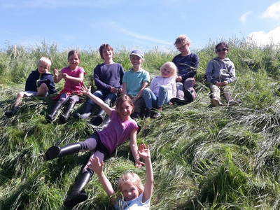 Bild 32 aus  Ferienhof Peter -  Ponys - streicheln, striegeln, füttern  -  Wattwanderungen + ganz viel Nordsee