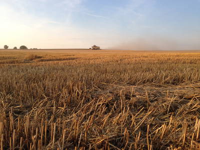 Bild 20 aus  Müritz-Hof Knust