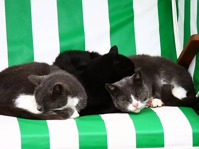 Bild 7 aus  Ferien- und Bauernhof Weiland