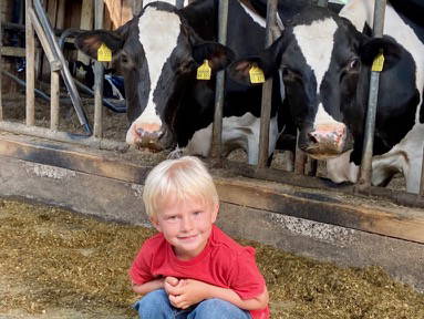 Bild 13 aus  Soodehof  Eins - Ihr Kinder-Erlebnisbauernhof in Nordhessen