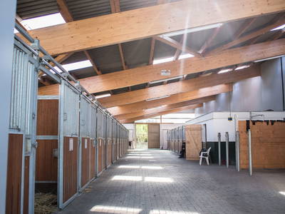 Bild 13 aus  Küselhof und Reiterhof Witt