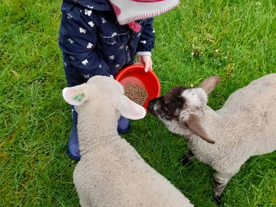 Bild 8 aus  Hof Janssen