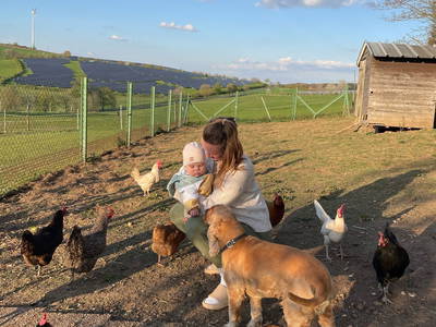 Unsere Hühner und Hofhund Milo
