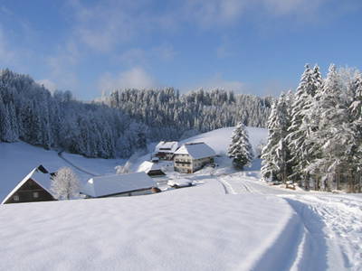 Bild 25 aus  Schreinerhäusle