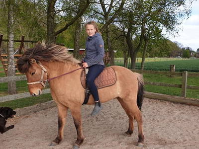Kind auf unserem HaflingerPony