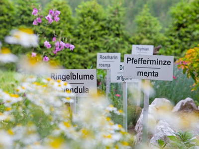 Bild 17 aus  Landhof - Familie Mairhofer