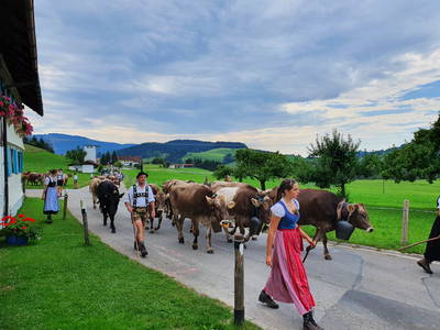 Bild 20 aus  Ferienhof Miller