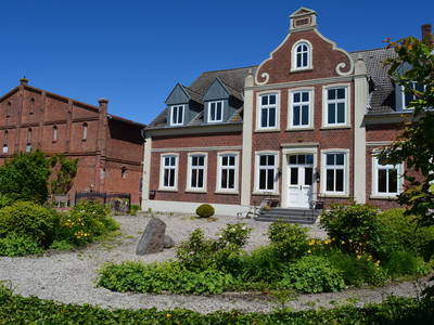 Bild 16 aus  Luftsnapper & Fellnasen