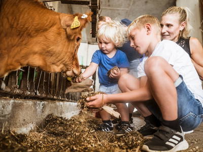 Bild 17 aus  LandSelection Moierhof am Chiemsee - Ferienhof des Jahres