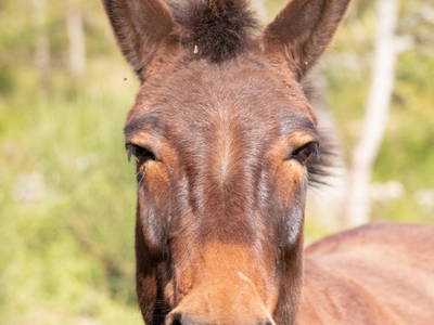 Bild 81 aus  Casa Bivignano