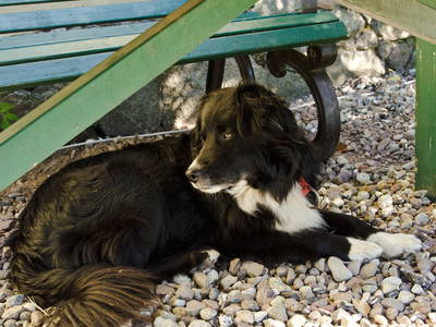 Bild 16 aus  Dreiseithof Schmadebeck